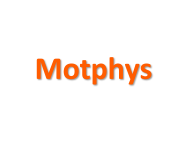 Motphys