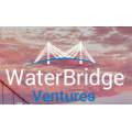 WaterBridge Ventures