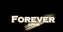 上海永恒网络Forever Game